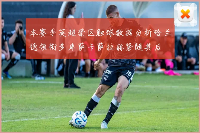 本赛季英超禁区触球数据分析哈兰德领衔多库萨卡萨拉赫紧随其后
